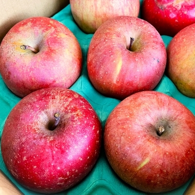 ユーザーアイコン