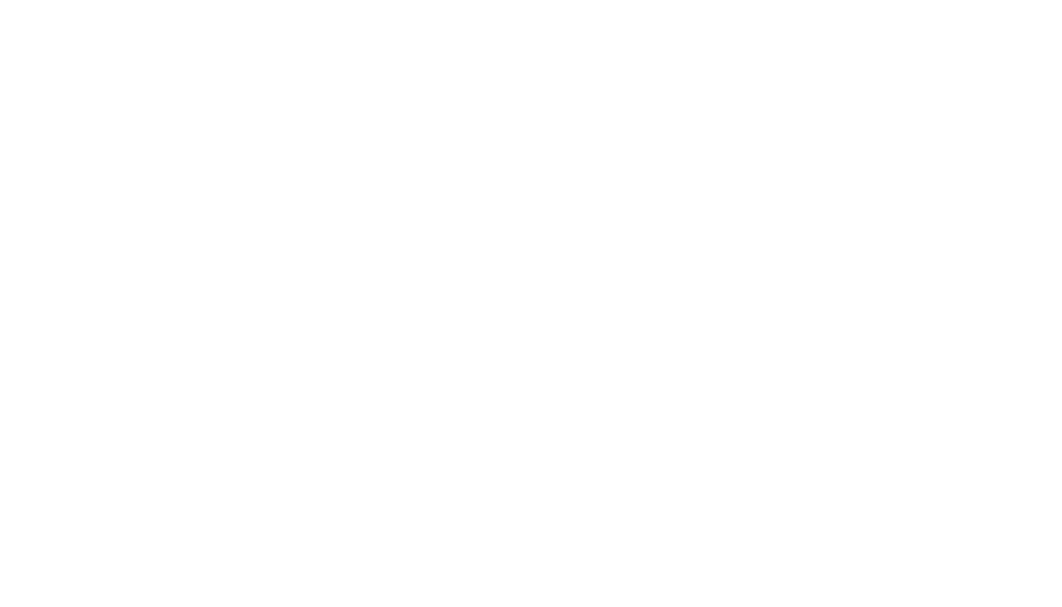 Soliy ロゴ